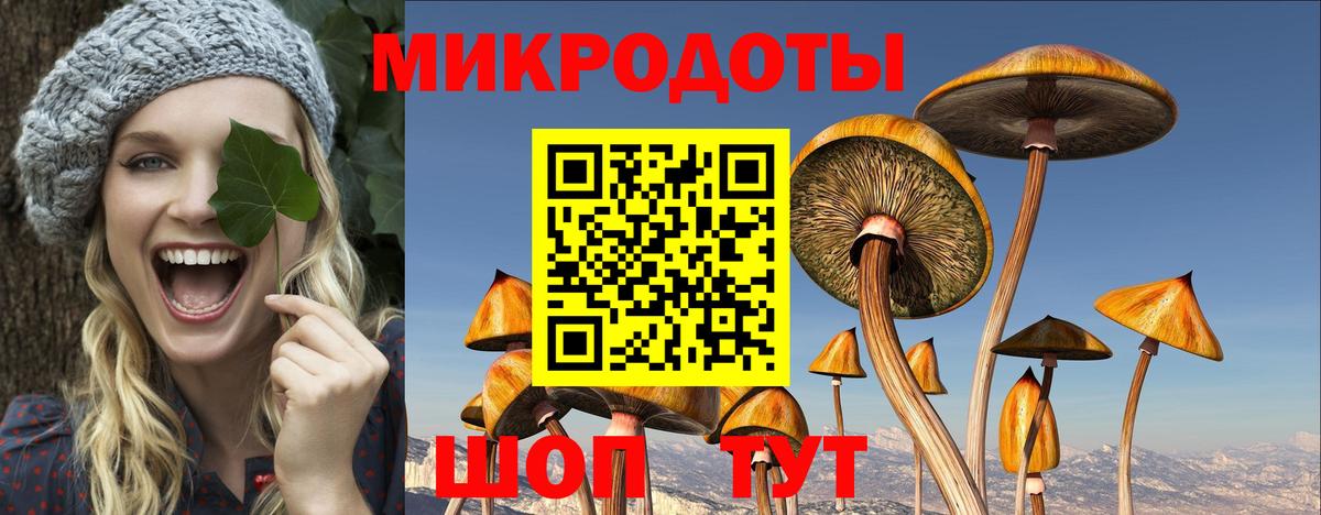 Губаха  Псилоцибиновые грибы Psilocybe  Вход с VPN 