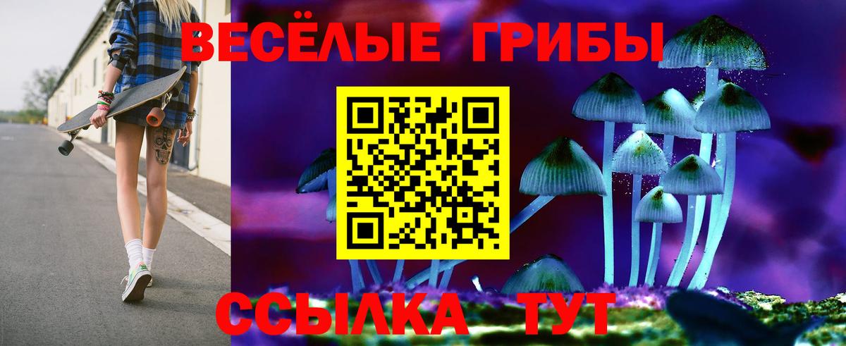 Псилоцибиновые грибы GOLDEN TEACHER Губаха